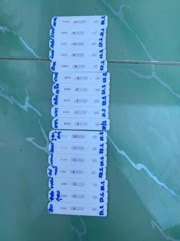 กปภ.สาขาพนมทวน ดำเนินการตรวจเชิงรุกหาเชื้อโควิด-19 ด้วยการตรวจ ANTIGEN TEST KIT (ATK)