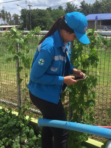 การประปาส่วนภูมิภาคสาขาท่าแซะ ดำเนินการสุ่มการอ่านมาตรวัดน้ำ ผ่านระบบระบบแผนที่และการสุ่มอ่านมาตร ( Map and meter random check ) ประจำเดือนมิถุนายน 2566