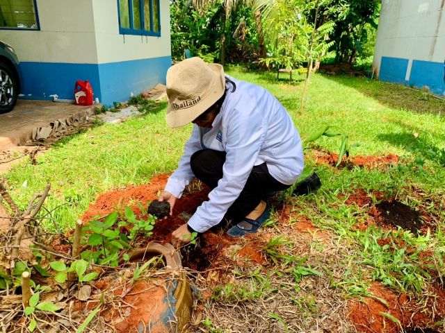 การการประปาส่วนภูมิภาคสาขาไชยา จัดกิจกรรม "ปลูกผักสวนครัว เศรษฐกิจพอเพียง"