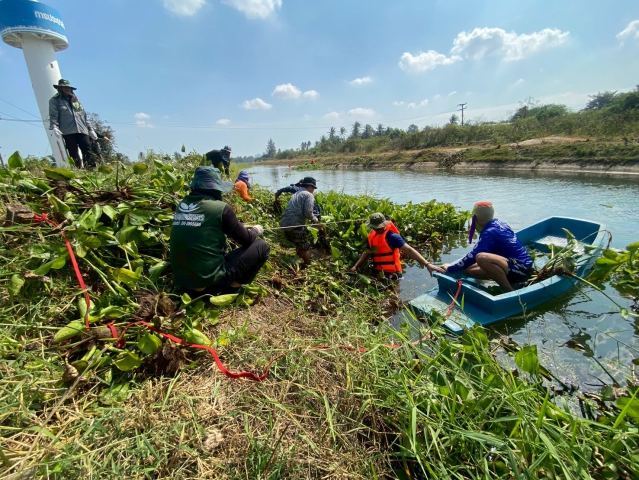 การประปาส่วนภูมิภาคสาขาเพชรบุรี ร่วมกันกำจัดวัชพืชและผักตบชวาในคลองชลประทาน