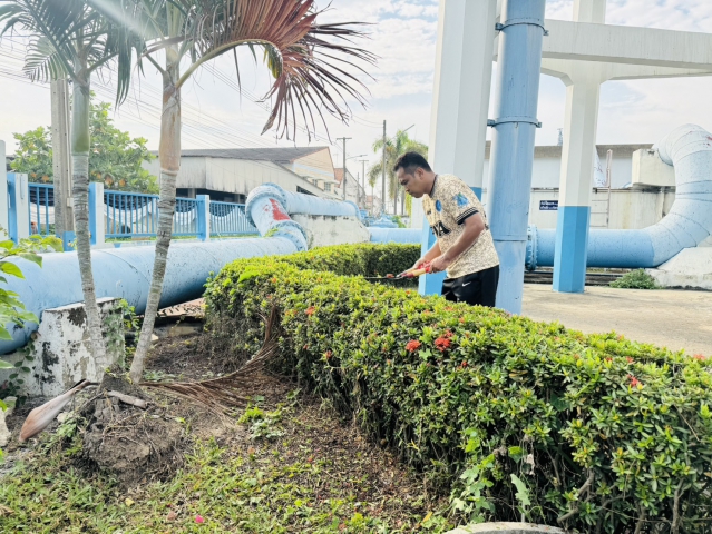 กปภ.สาขาสามพราน ร่วมกิจกรรมตัดหญ้าและตัดแต่งกิ่งไม้ ปรับปรุงภูมิทัศน์รอบสำนักงาน