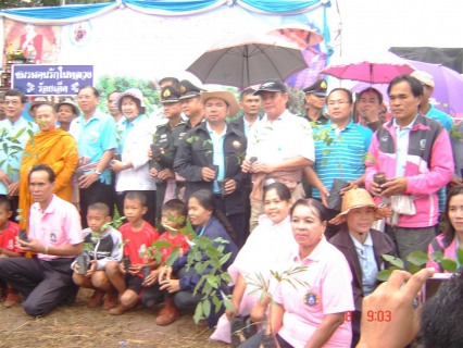 ไฟล์แนบ การประปาส่วนภูมิภาค สาขาโพนทอง ร่วมคืนความร่มรื่นให้ธรรมชาติ ในโครงการ ประชาอาสาปลูกป่า ๘๐๐ ล้านกล้า ๘๐ พรรษา มหาราชินี