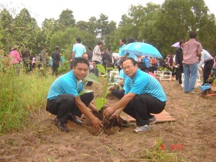 ไฟล์แนบ การประปาส่วนภูมิภาค สาขาโพนทอง ร่วมคืนความร่มรื่นให้ธรรมชาติ ในโครงการ ประชาอาสาปลูกป่า ๘๐๐ ล้านกล้า ๘๐ พรรษา มหาราชินี