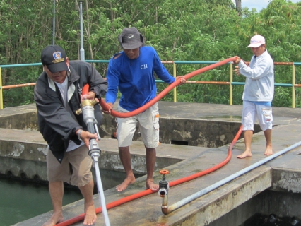 ไฟล์แนบ   กปภ.สาขาบ้านฉาง ทำความสะอาดระบบผลิตน้ำประปา ณ โรงกรองน้ำบ้านฉาง