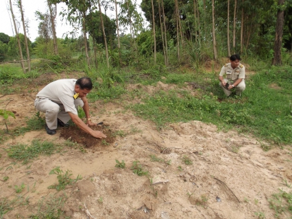 ไฟล์แนบ กปภ.สาขาสระแก้ว จัดกิจกรรมปลูกต้นไม้ เนื่องในวันต้นไม้ประจำปี ๒๕๕๖