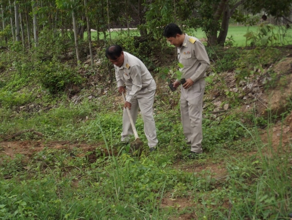 ไฟล์แนบ กปภ.สาขาสระแก้ว จัดกิจกรรมปลูกต้นไม้ เนื่องในวันต้นไม้ประจำปี ๒๕๕๖