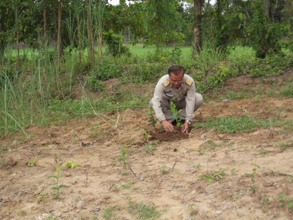 ไฟล์แนบ กปภ.สาขาสระแก้ว จัดกิจกรรมปลูกต้นไม้ เนื่องในวันต้นไม้ประจำปี ๒๕๕๖