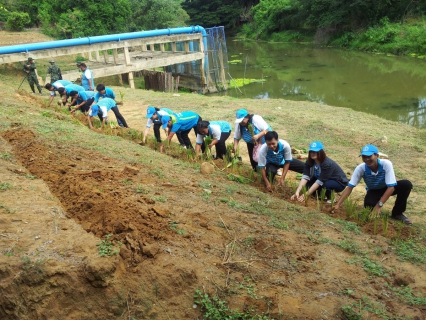 ไฟล์แนบ การประปาส่วนภูมิภาคสาขาปราณบุรี ร่วมกับ เทศบาลตำบลเขาน้อย ดำเนินการโครงการปลูกหญ้าแฝก ตามแนวทางพระราชดำริแห่งองค์พระบาทสมเด็จพระเจ้าอยู่หัว 
