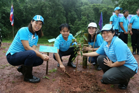 ไฟล์แนบ กปภ. ร่วมปลูกป่าน้อมใจถวาย 6 ล้านกล้า ฟื้นฟูป่าอนุรักษ์