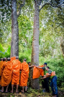 ไฟล์แนบ สาขาบ้านฉาง ร่วมบวชป่า กับองค์กรป่าชุมชนบ้านภูดรฯ กรมป่าไม้