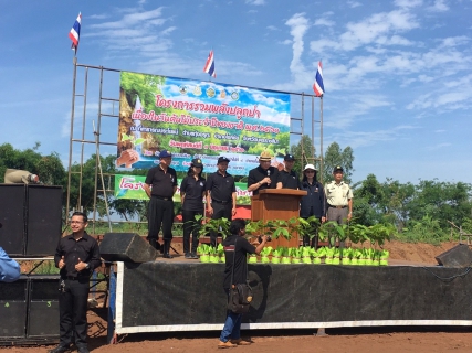 ไฟล์แนบ กปภ.สาขาโชคชัย ร่วมกิจกรรมปลูกต้นไม้ประจำปี 2560 