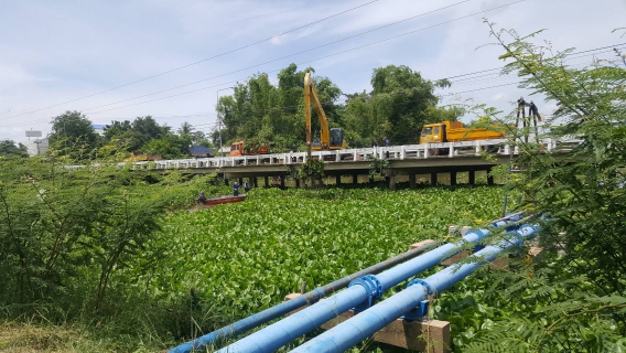 ไฟล์แนบ กปภ.สาขาพิมาย ร่วมกันกำจัดผักตบชวาและวัชพืชในแหล่งน้ำ