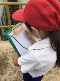 ไฟล์แนบ ่กปภ.สาขาศรีราชา ร่วมให้การต้อนรับคณะนักเรียน และอาจารย์ จากโรงเรียนสมาคมไทย-ญี่ปุ่น ศรีราชา ศึกษาดูงานระบบผลิต