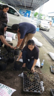 ไฟล์แนบ กปภ.สาขาคลองหลวง ร่วมกันจัดกิจกรรมปลูกดาวเรือง เพื่อน้อมถวายเป็นพระราชกุศล แสดงออกถึงความจงรักภักดี และรำลึกในพระมหากรุณาธิคุณของพระบาทสมเด็จพระปรมินทรมหาภูมิพลอดุลยเดช 