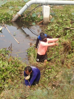 ไฟล์แนบ การประปาส่วนภูมิภาค สาขาเมืองพล จัดทีมงานคุณภาพขุดลอกแหล่งน้ำดิบ บริเวณแรงต่ำโนนรามราช อ่างเก็บน้ำละเลิงหวาย เพื่อรักษาคุณภาพน้ำดิบที่นำมาผลิตน้ำประปา