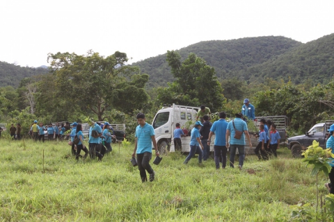 ไฟล์แนบ กปภ.เขต3 ขับเคลื่อนโครงการ CSR กปภ.ปลูกป่าต้นน้ำเพื่อแผ่นดินฯ