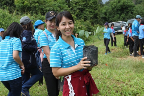 ไฟล์แนบ กปภ.เขต3 ขับเคลื่อนโครงการ CSR กปภ.ปลูกป่าต้นน้ำเพื่อแผ่นดินฯ