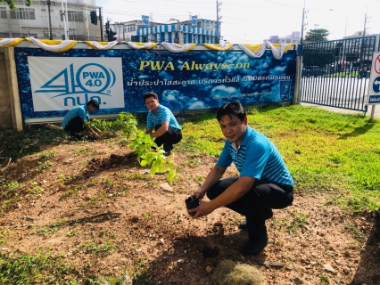 ไฟล์แนบ กปภ.สาขาสระแก้ว จัดกิจกรรมวันรักต้นไม้ประจำปีของชาติ พ.ศ.2562