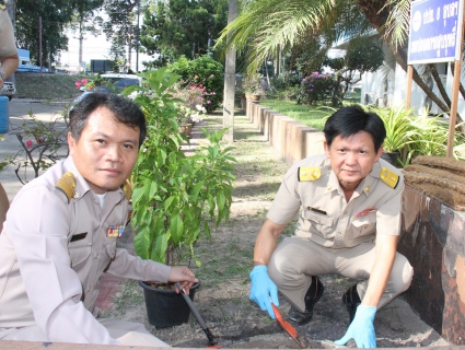ไฟล์แนบ กปภ.ข.8 จัดกิจกรรมปลูกต้นไม้เนื่องในวันรักตันไม้ประจำปีของชาติ 2562