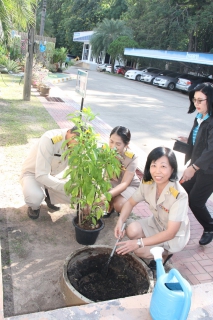ไฟล์แนบ กปภ.ข.8 จัดกิจกรรมปลูกต้นไม้เนื่องในวันรักตันไม้ประจำปีของชาติ 2562