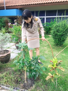 ไฟล์แนบ การประปาส่วนภูมิภาคสาขาหนองแค จัดกิจกรรมวันต้นไม้ประจำปีของชาติ 2562