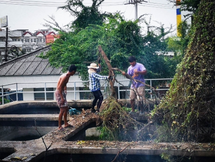 ไฟล์แนบ การประปาส่วนภูมิภาคสาขาสิงห์บุรี จัดกิจกรรม Big Cleaning Day 