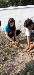 ไฟล์แนบ การประปาส่วนภูมิภาคสาขาอ่างทอง จัดกิจกรรมวันต้นไม้ประจำของชาติ พ.ศ. 2563
