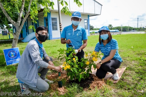 ไฟล์แนบ สาขาบ้านฉาง จัดกิจกรรม "รวมใจไทย ปลูกต้นไม้ เพื่อแผ่นดิน"