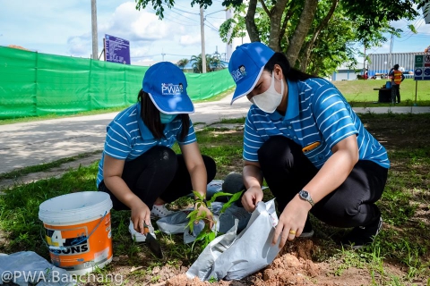 ไฟล์แนบ สาขาบ้านฉาง จัดกิจกรรม "รวมใจไทย ปลูกต้นไม้ เพื่อแผ่นดิน"