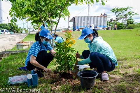 ไฟล์แนบ สาขาบ้านฉาง จัดกิจกรรม "รวมใจไทย ปลูกต้นไม้ เพื่อแผ่นดิน"