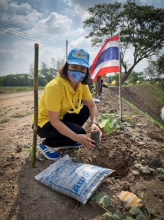 ไฟล์แนบ การประปาส่วนภูมิภาคสาขาสิงห์บุรี ร่วมกิจกรรมจิตอาสาปลูกป่า เนื่องในวันเฉลิมพระชนมพรรษา รัชกาลที่ 10