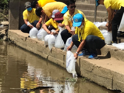 ไฟล์แนบ การประปาส่วนภูมิภาคสาขาคลองหลวง ร่วมกิจกรรมปลูกต้นไม้และปล่อยปลาเนื่องในวันเฉลิมพระชนมพรรษา รัชกาลที่ 10 ประจำปี 2563