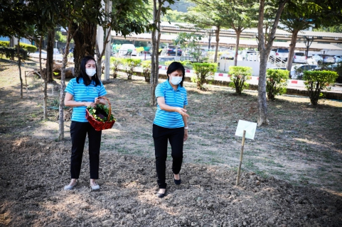 ไฟล์แนบ การประปาส่วนภูมิภาคเขต 2 จัดกิจกรรมปลูกต้นไม้เนื่องในวันดินโลก