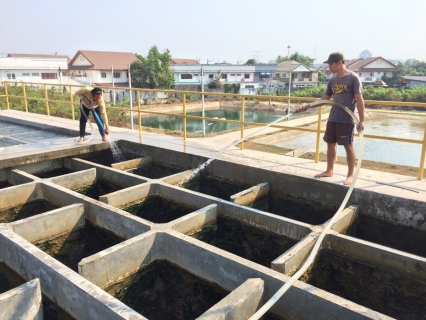 ไฟล์แนบ การประปาส่วนภูมิภาคสาขาบ้านโป่ง ร่วมกันล้างถังตกตะกอน
