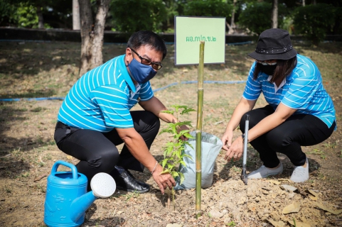 ไฟล์แนบ การประปาส่วนภูมิภาคเขต 2 จัดกิจกรรมปลูกต้นไม้เฉลิมพระเกียรติ ฯ