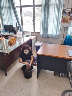 ไฟล์แนบ กปภ.สาขาอู่ทอง ร่วมจัดกิจกรรม Big Cleaning Day