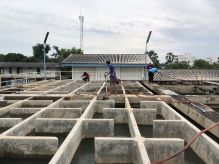 ไฟล์แนบ กปภ.สาขาอู่ทอง ล้างถังตกตะกอน ประจำเดือน กันยายน 2564 ณ สถานีผลิตน้ำสระยายโสม & สถานีผลิตน้ำแม่ข่ายอู่ทอง