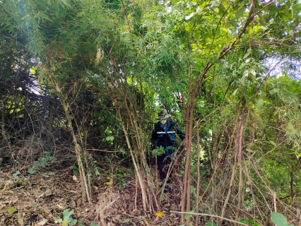 ไฟล์แนบ กปภ.สาขากาญจนบุรี จัดกิจกรรม 5 ส. "สะสาง สะดวก สะอาด สุขลักษณะและสร้างนิสัย" 