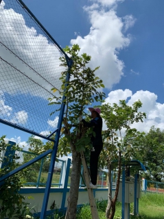 ไฟล์แนบ กปภ.สาขาศีขรภูมิ จัดกิจกรรม Big Cleaning Day ส่งเสริมภาพลักษ์ ประจำเดือน กันยายน 2564