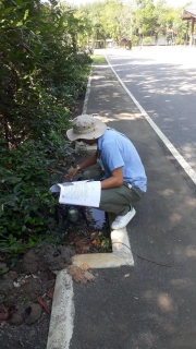 ไฟล์แนบ การประปาส่วนภูมิภาคสาขาพังงา ลงพื้นที่ตรวจสอบมาตรวัดน้ำ