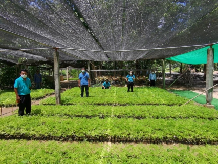 ไฟล์แนบ การประปาส่วนภูมิภาคเขต ๓ ขับเคลื่อนโครงการ CSR กปภ.ปลูกป่าต้นน้ำเพื่อแผ่นดินฯ ปีที่ ๔