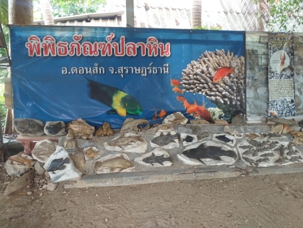 ไฟล์แนบ วันพุธที่ 22 กันยายน 2564 การประปาส่วนภูมิภาคสาขากาญจนดิษฐ์ โดยนางอัญชลี  รัตนสุภา  ผู้จัดการการประปาส่วนภูมิภาคสาขากาญจนดิษฐ์  มอบหมายนายพงษ์กาญจน์ วรรณาลัย หัวหน้างาน 8 งานผลิต เข้าตรวจเยี่ยมลูกค้า ของ กปภ.สาขากาญจนดิษฐ์ ซึ่งเป็นพิพิธภัณฑ์ปลาหิน อำเภอดอนสัก ซึ่งขอเปลี่ยนประเภทผู้ใช้น้ำและขอย้ายมาตร เข้าตรวจสอบกรณีดังกล่าว และจากผลกระทบจากโควิด - 19 ซึ่งไม่มีรายได้จากผู้เข้าชมพิพิธภัณฑ์ปลาหินเลย หัวหน้างานผลิตและพนักงานในสังกัดได้ร่วมสมทุบทุนจากผลกระทบที่เกิดขึ้นดังกล่าวให้กับทางพิพิธภัณฑ์ปลาหิน