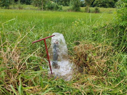 ไฟล์แนบ กปภ.สาขาอุตรดิตถ์จัดกิจกรรมตรวจสอบคุณภาพน้ำประปา