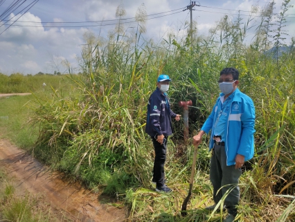 ไฟล์แนบ กปภ.สาขาปราณบุรี ลงพื้นที่ออกหาท่อแตก-ท่อรั่ว เชิงรุก (Active Leak Control)ตรวจสอบปัญหาน้ำไหลอ่อน พร้อมแก้ไขทันที ตามแผนลดน้ำสูญเสีย บริเวณ สถานีจ่ายน้ำสามพระยา ตำบลสามพระยา อำเภอชะอำ จังหวัดประจวบคีรีขันธ์ 
