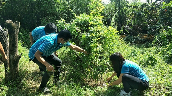 ไฟล์แนบ การประปาส่วนภูมิภาคสาขาปากน้ำประแสร์ จัดกิจกรรมวันรักต้นไม้ประจำปีของชาติ