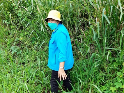 ไฟล์แนบ การประปาส่วนภูมิภาคสาขากระบี่ ดำเนินงานตามแผนบริหารจัดการน้ำสูญเสีย เดินหน้าลงพื้นที่ อำเภอเมืองกระบี่ จังหวัดกระบี่ เดินเท้าหาท่อแตกรั่ว พร้อมซ่อมปิดจุด เพื่อลดการเกิดน้ำสูญเสีย 