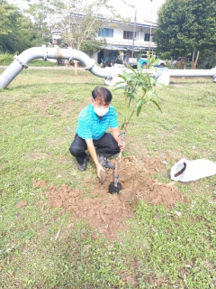 ไฟล์แนบ การประปาส่วนภูมิภาคสาขาแม่สาย จัดกิจกรรมวันรักต้นไม้ประจำปีของชาติ พ.ศ.2564 พร้อมรำลึกถึงพระมหากรุณาธิคุณของสมเด็จพระศรีนครินทราบรมราชชนนี เนื่องในวันคล้ายวันพระราชสมภพ 21 ตุลาคม 