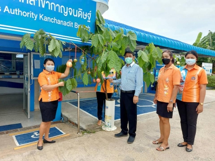 ไฟล์แนบ วันพฤหัสบดีที่ 21 ตุลาคม 2564 การประปาส่วนภูมิภาคสาขากาญจนดิษฐ์ โดย นายสุรพงศ์ สมหวัง ผู้จัดการ กปภ.สาขากาญจนดิษฐ์ พร้อมหัวหน้างานอำนวยการและพนักงานในสังกัด ร่วมกิจกรรมประดับพุ่มผ้าป่า ประจำปี 2564 ตามประเพณีของชาวภาคใต้
