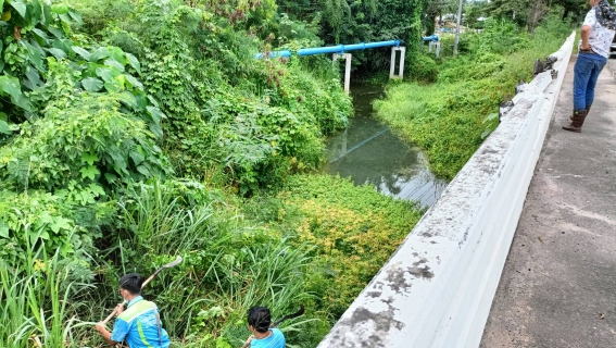 ไฟล์แนบ ในวันพฤหัสบดีที่ 21 ตุลาคม 2564 การประปาส่วนภูมิภาคสาขากาญจนดิษฐ์ นำโดย นายสุรพงศ์ สมหวัง ผู้จัดการการประปาส่วนภูมิภาคสาขากาญจนดิษฐ์ มอบหมาย งานบริการและควบคุมน้ำสูญเสีย ลงพื้นที่เดินสำรวจหาท่อแตกท่อรั่วบริเวณ ถนนสุราษฎ์-นครศรี พิกัด โรงงานศรีตรัง ไปจนถีง สำนักงานทางหลวงกาญจนดิษฐ์  เพื่อทดลองจ่ายน้ำและหาท่อรั่วบริเวณดังกล่าว