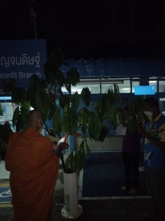 ไฟล์แนบ เช้าวันศุกร์ที่ 22 ตุลาคม 2564 เวลา 05.00 น การประปาส่วนภูมิภาคสาขากาญจนดิษฐ์ นำโดย นายสุรพงศ์ สมหวัง ผู้จัดการการประปาส่วนภูมิภาคสาขากาญจนดิษฐ์ มอบหมาย พนักงานเจ้าหน้าที่ ทำพิธีชักพุมผ้าป่าหน้าสำนักงาน การประปาส่วนภูมิภาคสาขากาญจนดิษฐ์ ตามประเพณีนิยมของชาวจังหวัดสุราษฎร์ธานี 